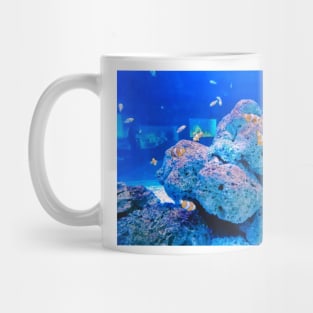 clownfish, anemonefish, aquarium, fish, ocean, sea, aquatic, anemone, clown fish, colorful, clown, coral, water, marine, tropical fish Mug